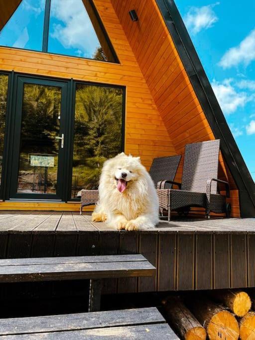 Macko'S Cabin Бъйле Тушнад Екстериор снимка